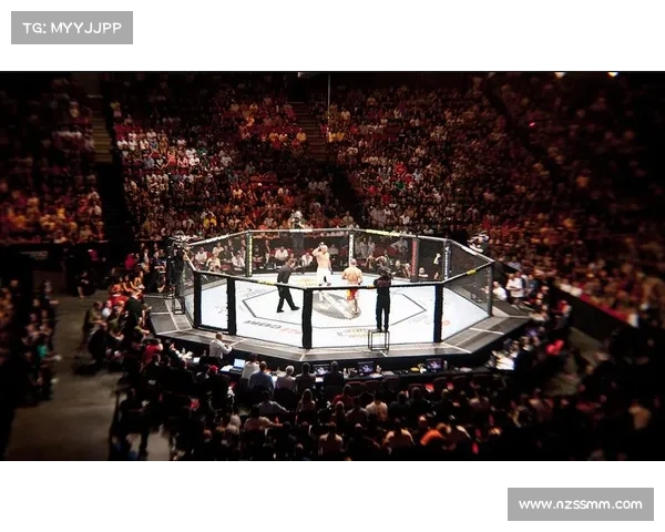 最狠的格斗赛事有哪些